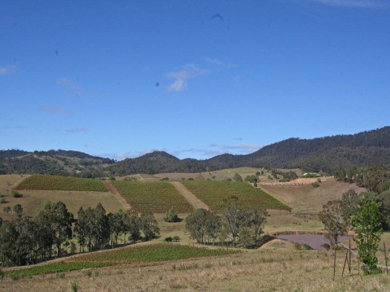Proposed Lot 2 Debeyers Road, Pokolbin NSW 2320