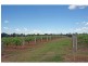 130 Gillards Road, Pokolbin NSW 2320