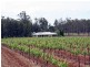 130 Gillards Road, Pokolbin NSW 2320