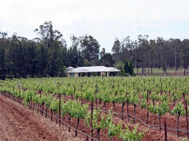 130 Gillards Road, Pokolbin NSW 2320