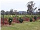 130 Gillards Road, Pokolbin NSW 2320