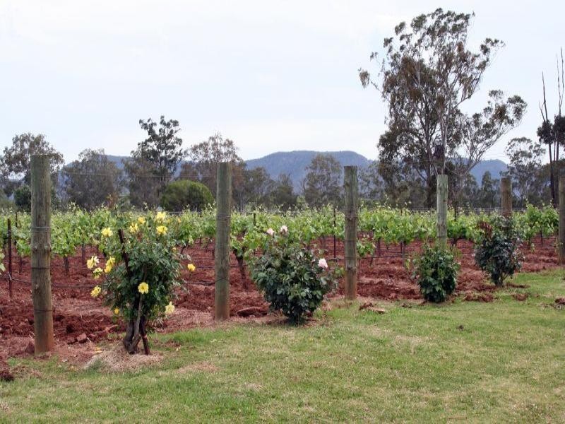 130 Gillards Road, Pokolbin NSW 2320