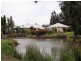 130 Gillards Road, Pokolbin NSW 2320