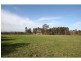 65 Squire Close, Pokolbin NSW 2320