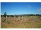 65 Squire Close, Pokolbin NSW 2320