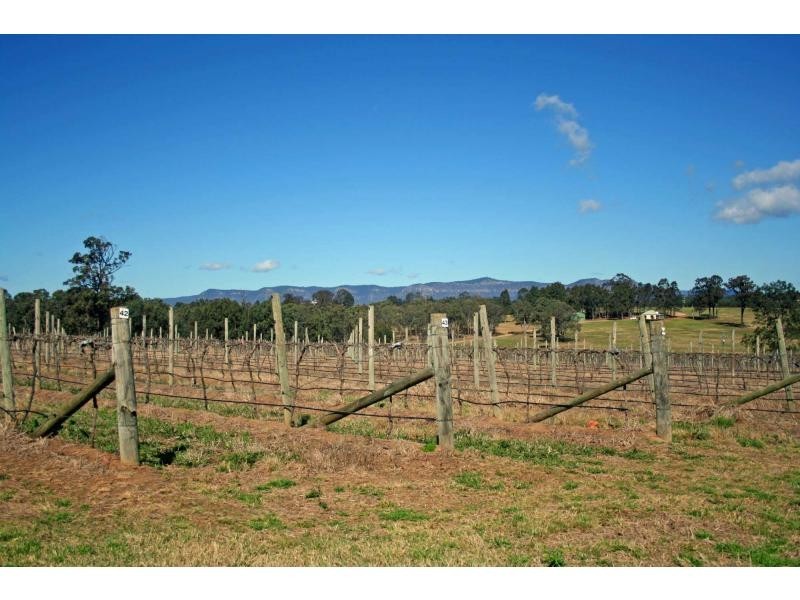 65 Squire Close, Pokolbin NSW 2320