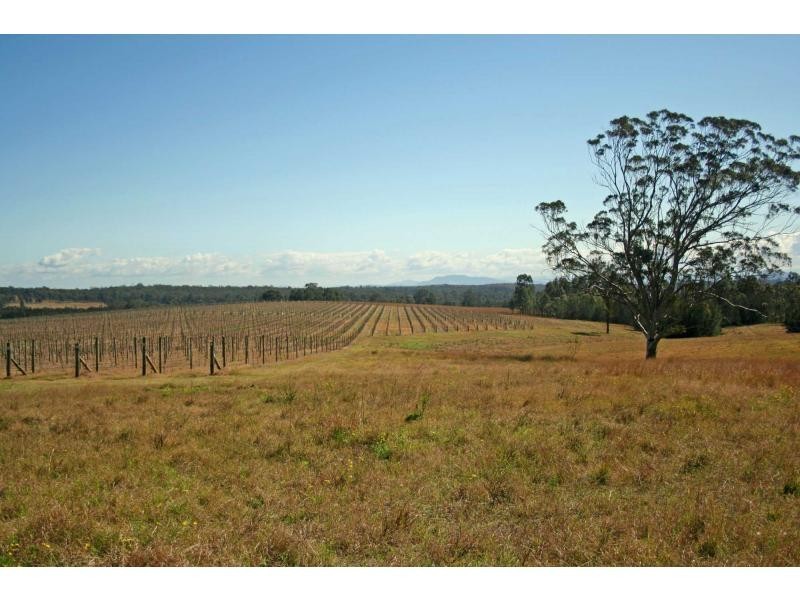 65 Squire Close, Pokolbin NSW 2320