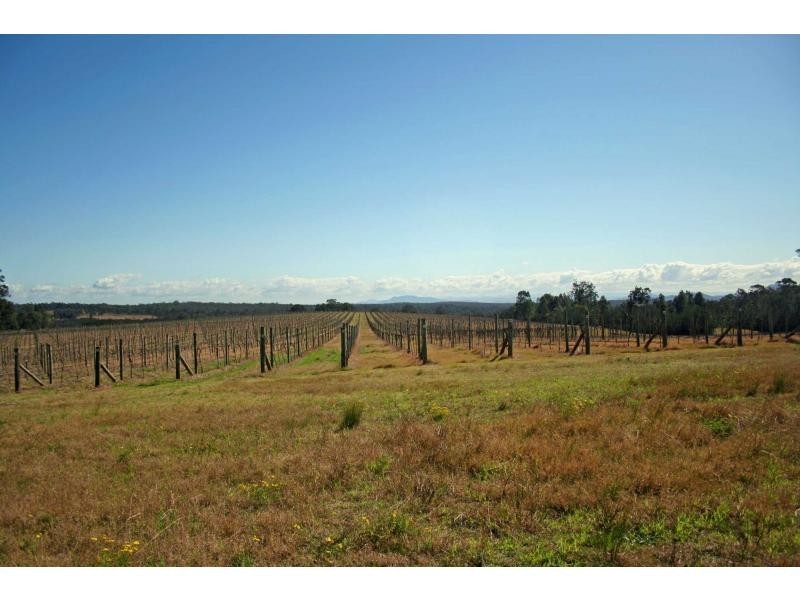 65 Squire Close, Pokolbin NSW 2320