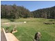 179 Fernances Crossing Road, Laguna NSW 2325