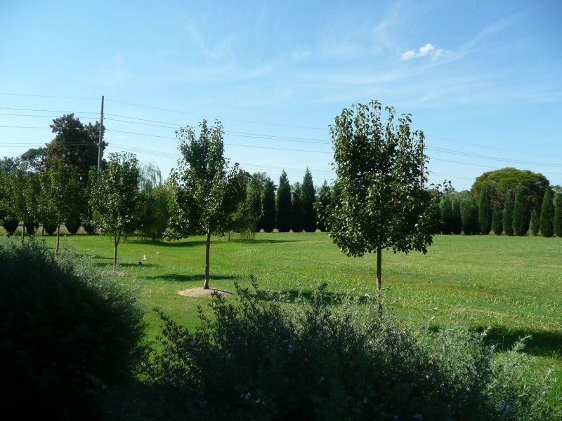 Proposed Lot 12 Fleming Street, Nulkaba NSW 2325
