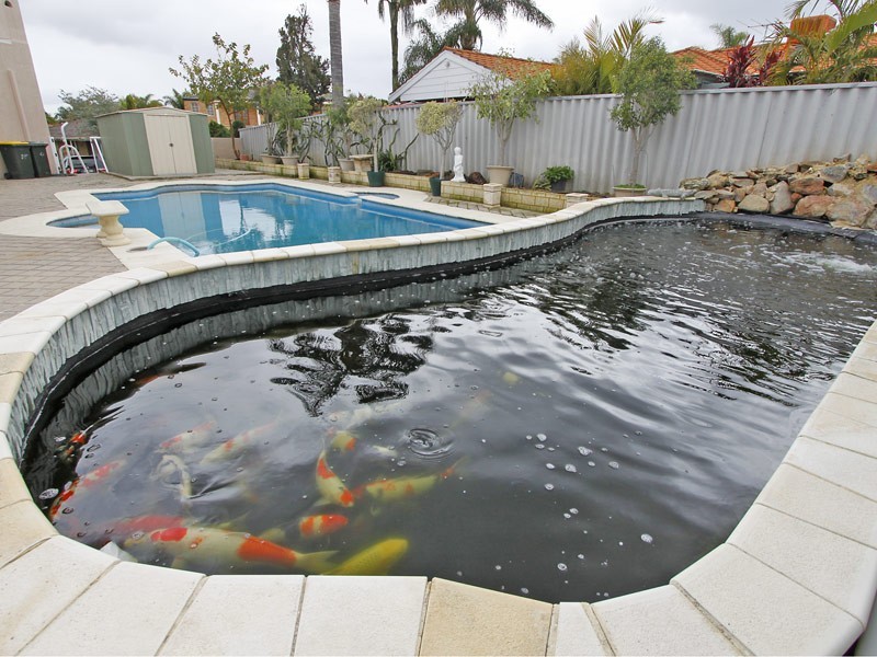 289 Summerlakes Parade, Ballajura WA 6066