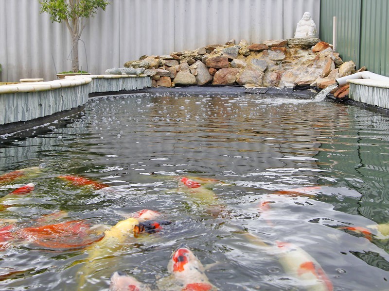 289 Summerlakes Parade, Ballajura WA 6066