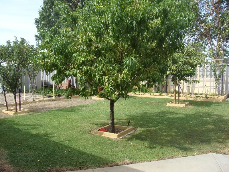 2 Gawler Place, Mirrabooka WA 6061