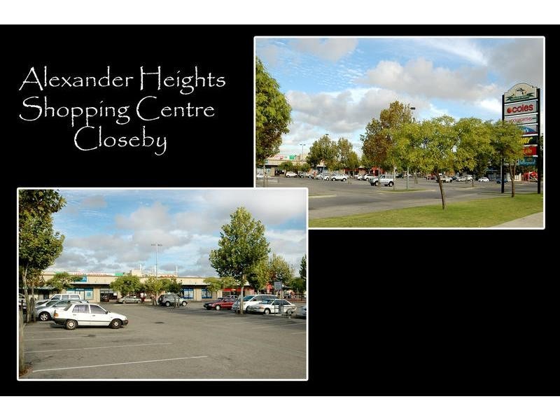 19 Hudleston Rise, Alexander Heights WA 6064
