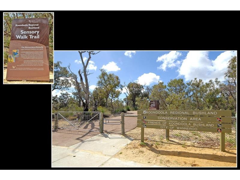 125 Koondoola Avenue, Koondoola WA 6064