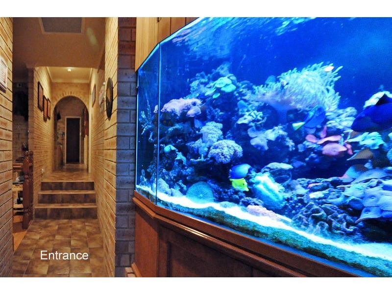 12 Volute Place, Mullaloo WA 6027