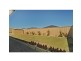 120 Elliot Road, Hocking WA 6065