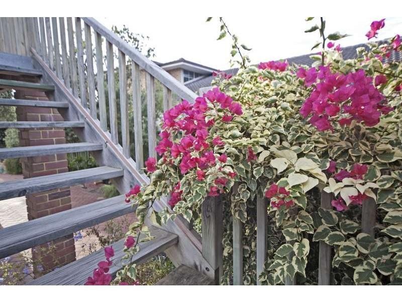 16 Bluewater Rise, Mullaloo WA 6027