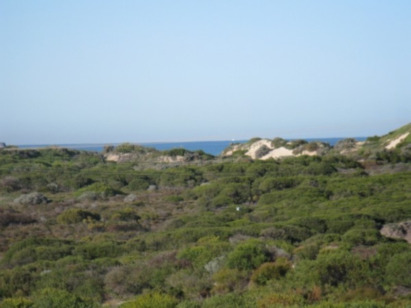 99 Two Rocks Road, Two Rocks WA 6037