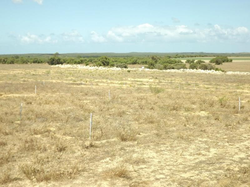 Lot 74 Croot Place, Woodridge WA 6041