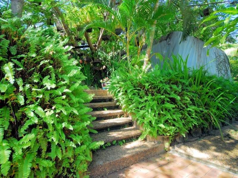 88 Herald Street, Toomulla QLD 4816