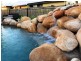 16 Daintree Drive, Bushland Beach QLD 4818