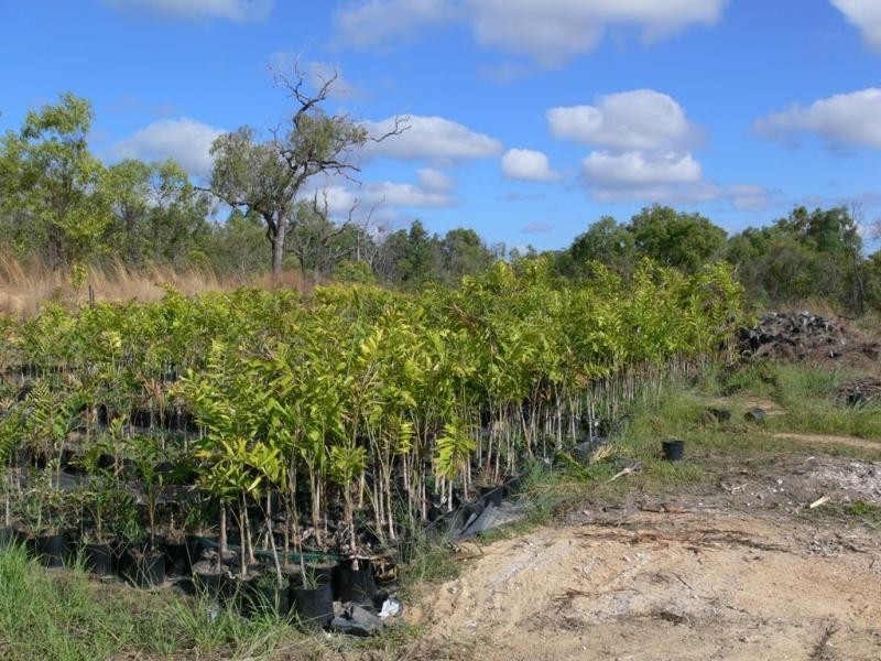 26 Bruce Highway, Rollingstone QLD 4816