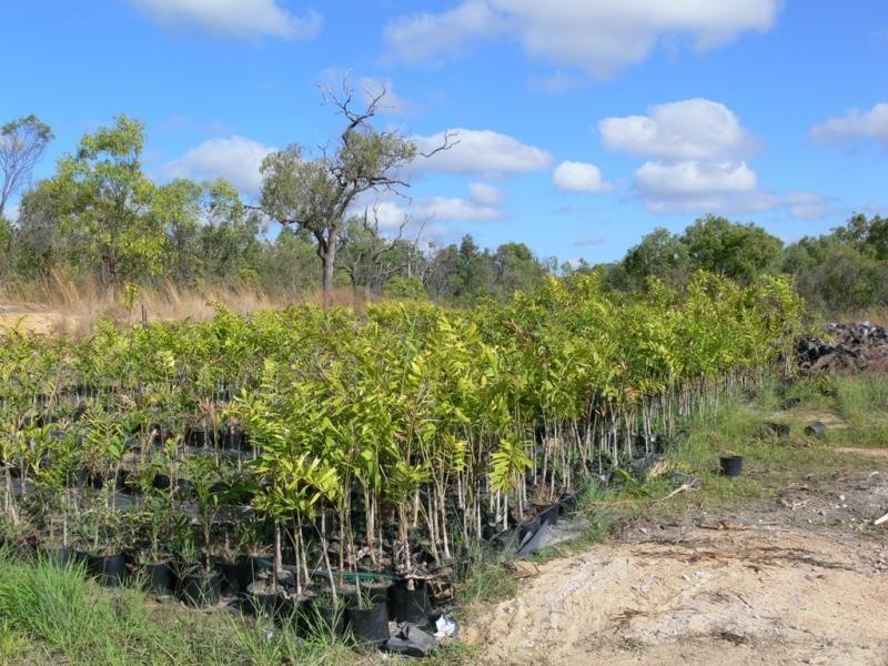 26 Bruce Highway, Rollingstone QLD 4816