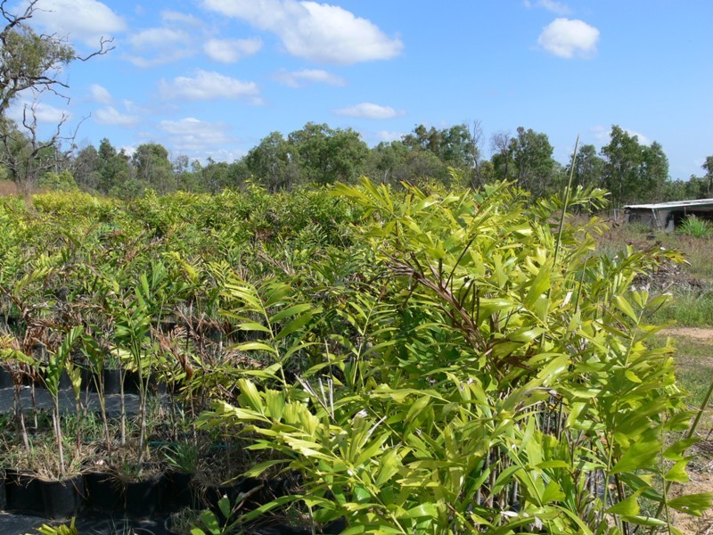 26 Bruce Highway, Rollingstone QLD 4816