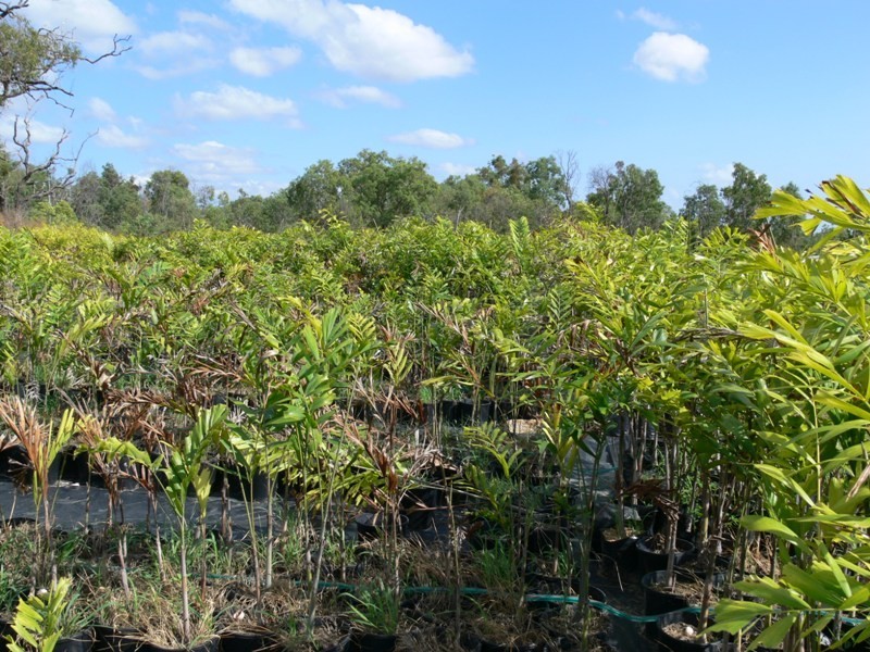 26 Bruce Highway, Rollingstone QLD 4816