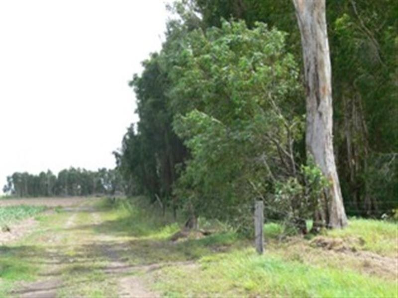 Lot 2 mandam Road, Ingham QLD 4850