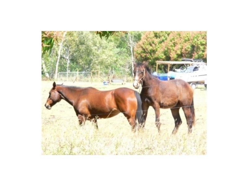 11 Aidan Street, Deeragun QLD 4818