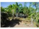 59 Marlin Street, Balgal Beach QLD 4816