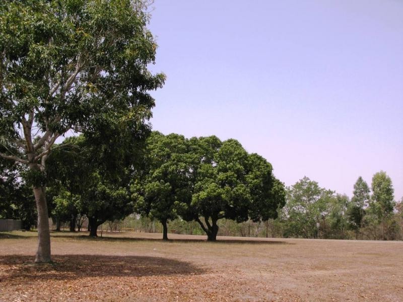 66 O’reilly Street, Mundingburra QLD 4812