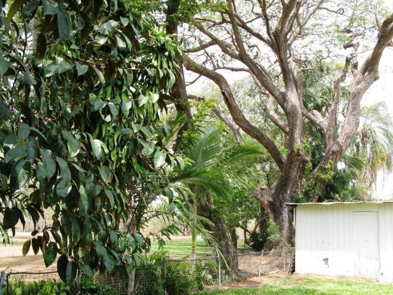 66 O’reilly Street, Mundingburra QLD 4812