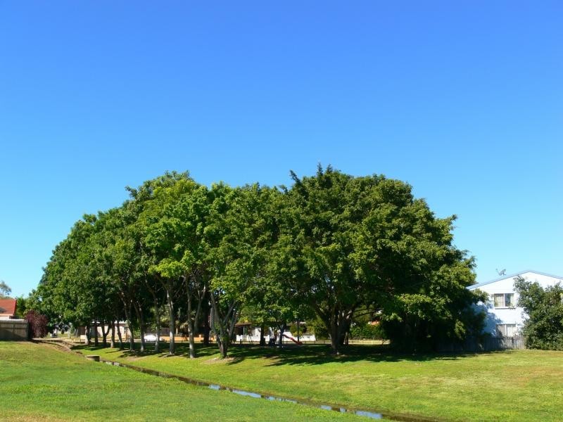 16 Sherriff Street, Hermit Park QLD 4812