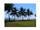 67 Cay Street, Saunders Beach QLD 4818
