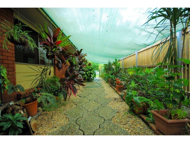 3 Elinga Court, Mount Louisa QLD 4814