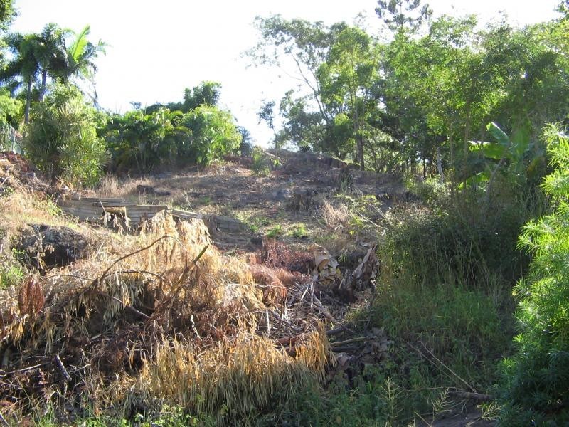 11 McClelland Street, West End QLD 4810