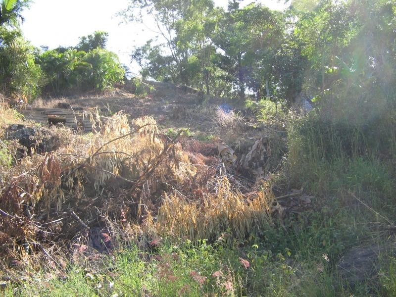 11 McClelland Street, West End QLD 4810