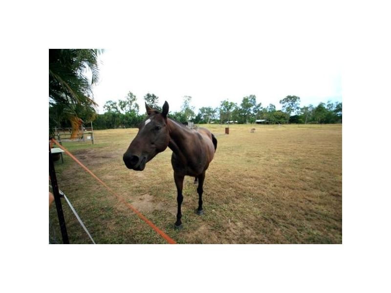 9 Mowbray Court, Mount Low QLD 4818