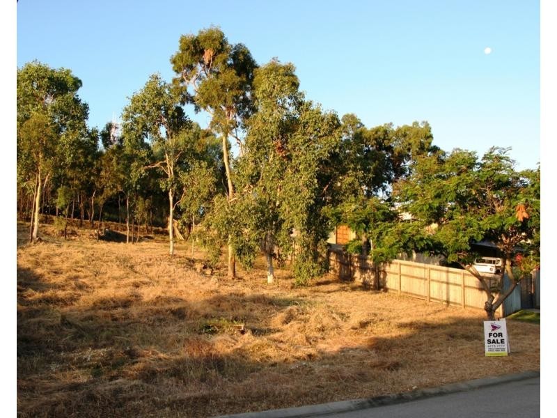 72 Yarrawonga Drive, Castle Hill QLD 4810