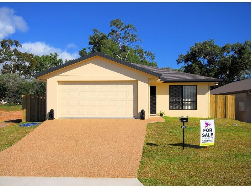 58 Daintree Drive, Bushland Beach QLD 4818