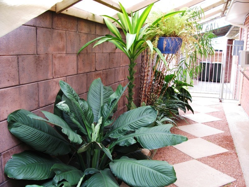 22 Silkwood Street, Kirwan QLD 4817