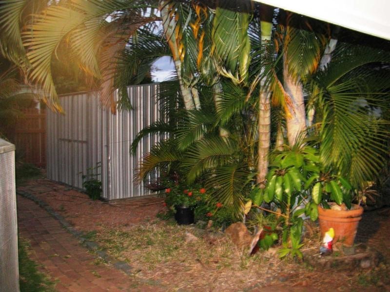 25 Bell Street, South Townsville QLD 4810