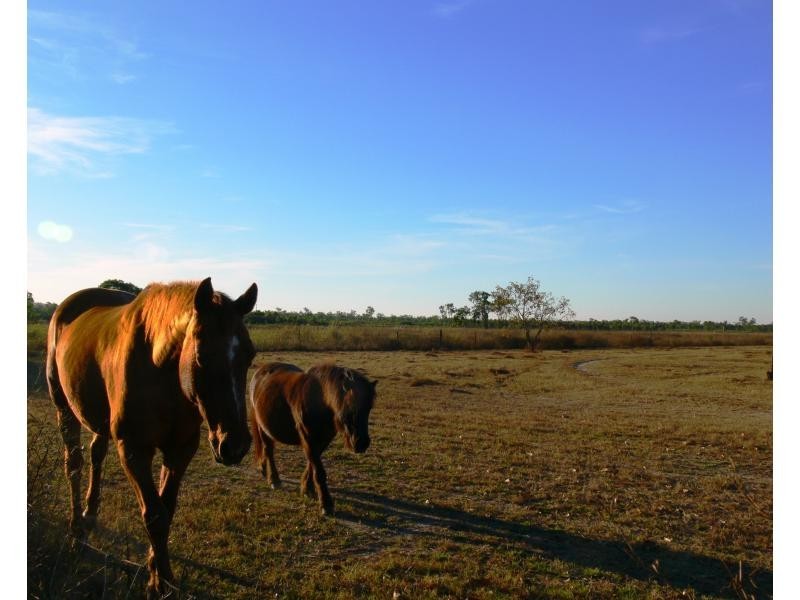 24 Blue Mountain Drive, Bluewater QLD 4818