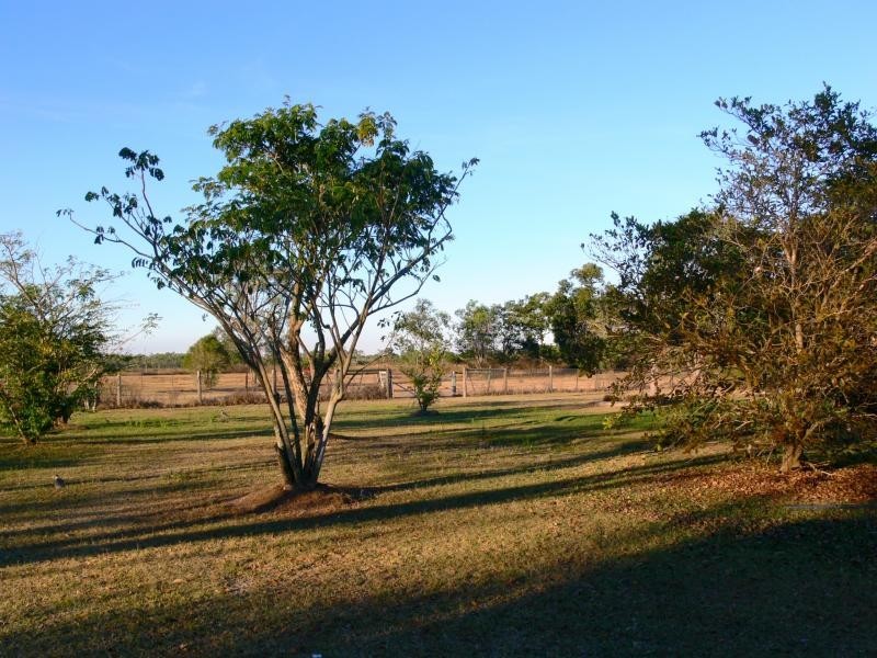 24 Blue Mountain Drive, Bluewater QLD 4818