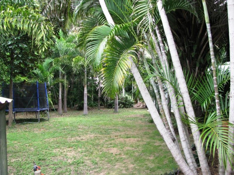 12 Balsam Street, Bushland Beach QLD 4818