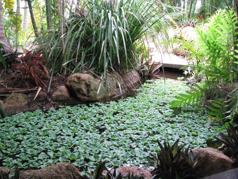 12 Balsam Street, Bushland Beach QLD 4818