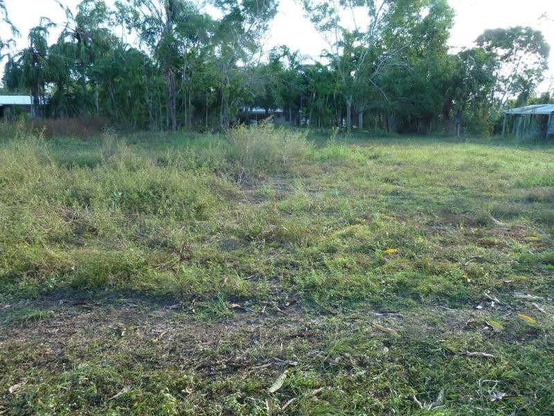 45 Brisbane Drive, Jensen QLD 4818